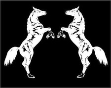 Horses Rearing Decals Mirrored Image Set vinyl car truck trailer sticker graphic