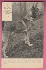 14 - LANTHEUIL - "Argus du