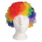 Beistle Rainbow Clown Wig - Circus | Party Supply | Decoration