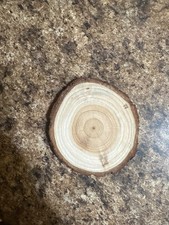 20PCS Christmas Natural Wood Slices Unfinished Wood Circles Predrilled Ornaments