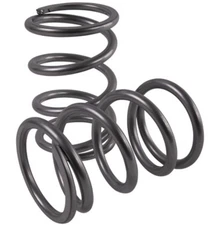 NEW High Lifter Tender Front Coil Springs Kit Silver RZR 1000 XP 4 2015-2023