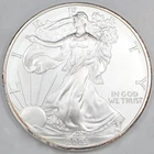 2003 American Silver Eagle 1 oz .999 Fine Bullion Coin Numismatic Collectible
