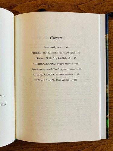 Pagan Triptych by Weighell, Howard, & Valentine Sarob Press Signed Copy #145/315 - Bild 5 von 9