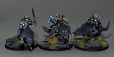 Thunderwolf Cavalry Pro Painted Space Wolves 40k space marines
