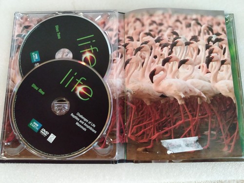 Life (DVD, 2010, 4-Disc Set) Documentary Narrated by Oprah Winfrey BBC Earth - Picture 7 of 8
