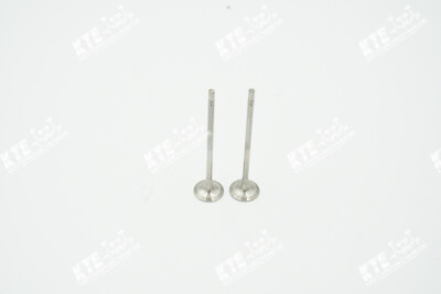 Auslassventil 1.4 TSI 04E109611H VW Audi Seat CZDA CZEA Skoda Golf 7 A3 A1 