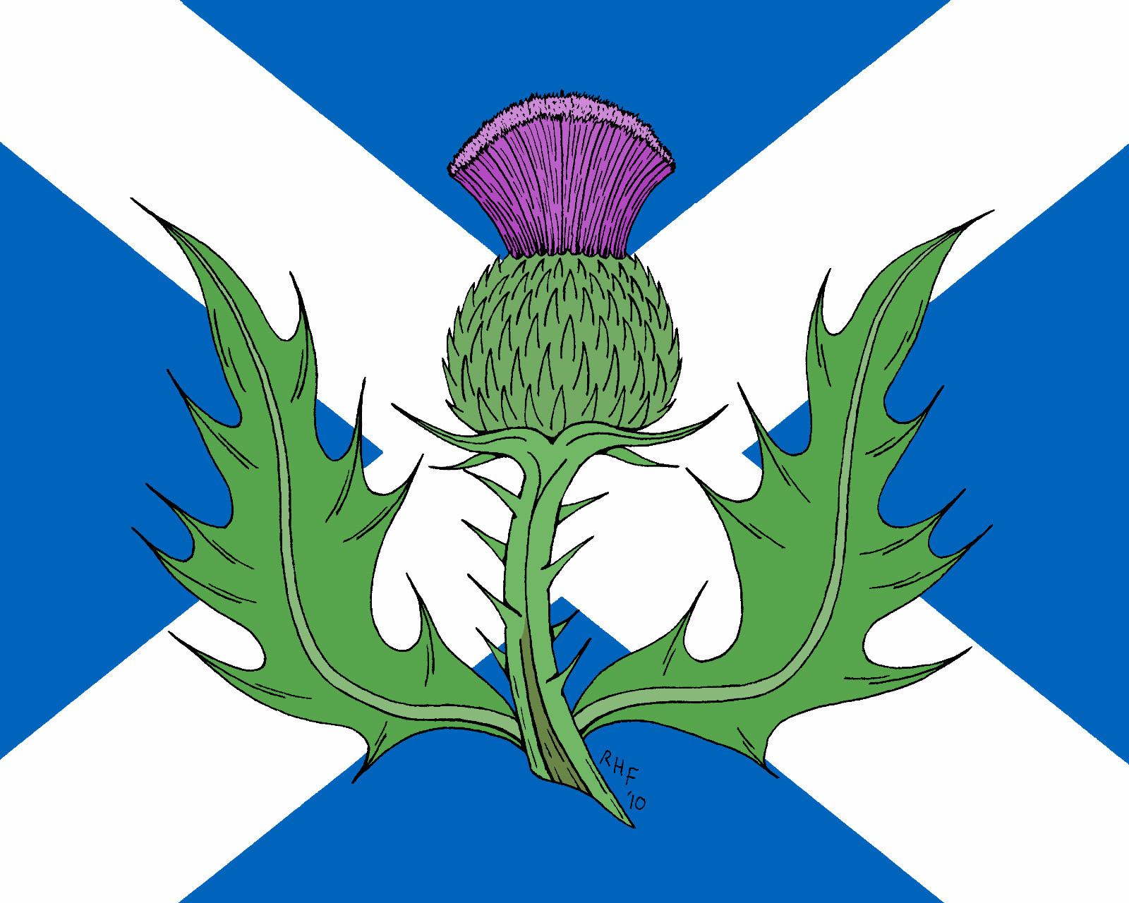 Image of Scottish thistle flag