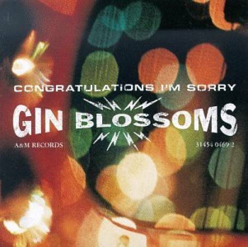 Congratulations I'm Sorry - Audio CD By Gin Blossoms - GOOD