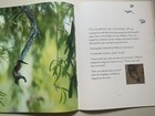 Picture 4 of 10