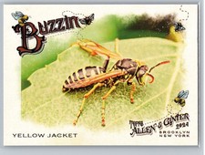 2024 Topps Allen & Ginter #BUZ-13 Yellow Jacket