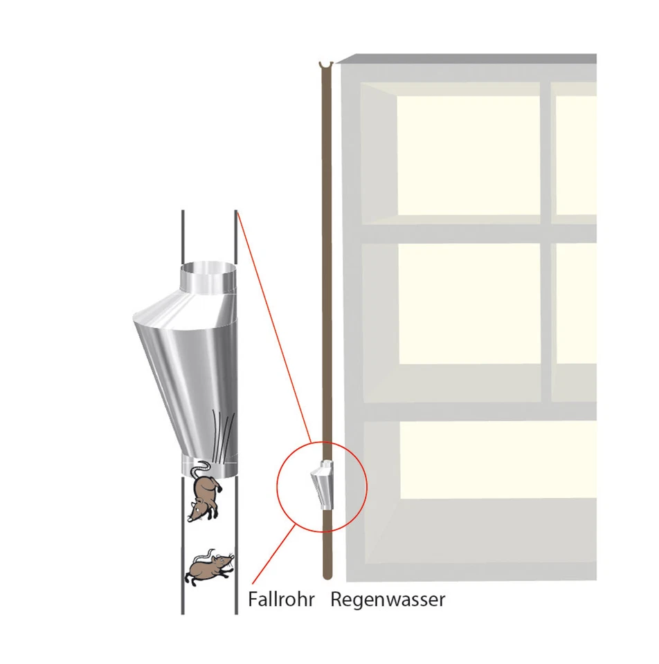 Parada de Rata Asimétrico DN100 Rattensperre Rattentrichter Incl. 2 - Imagen 2 de 4