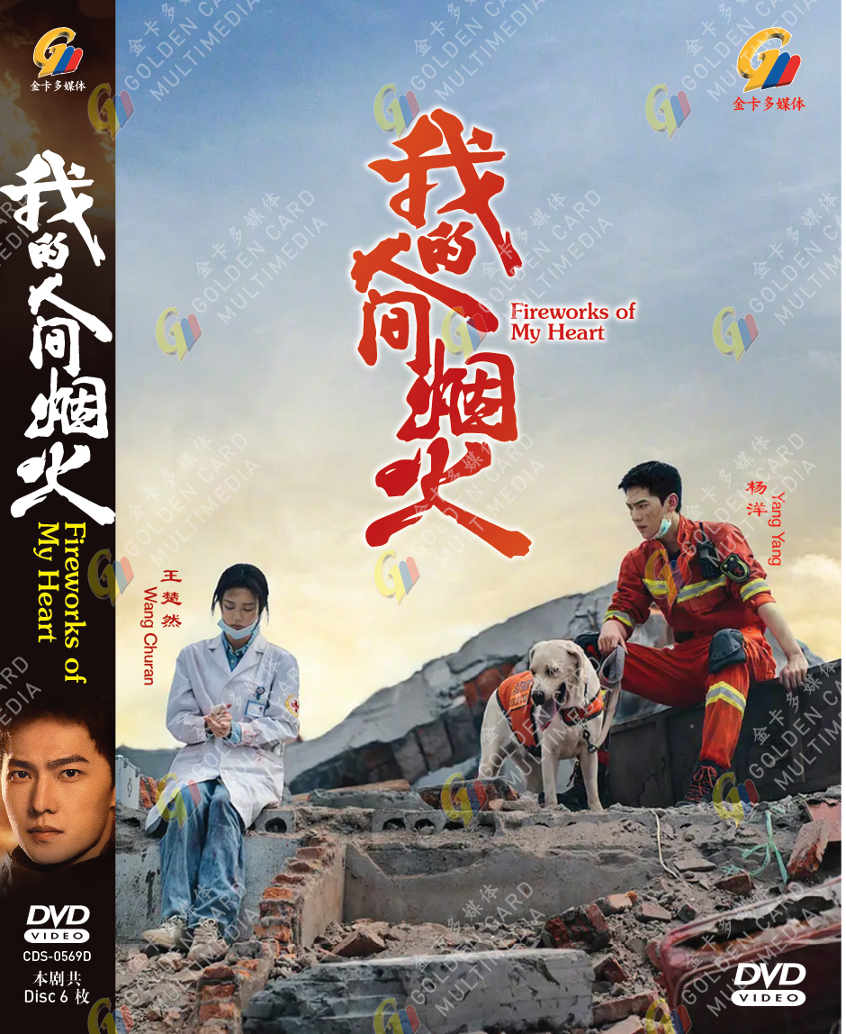 探偵　哀しきチェイサー　音楽劇[DVD] Amazon.co.jp: 探偵 哀しきチェイサー2 雨だれの挽歌 [DVD
