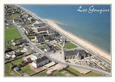 50.AM10246.Les Gougins.View General.Edit Dubray 1076/50.CPSM 15x10 cm