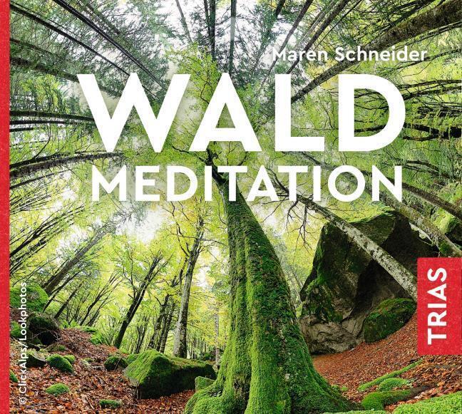 Thumbnail - Waldmeditation Maren Schneider - Hörbuch