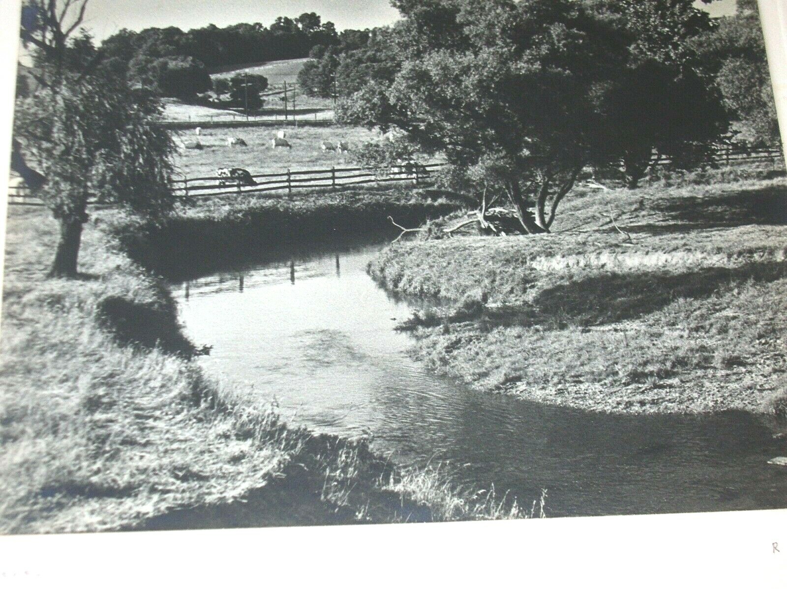 Imagen 3 de 5