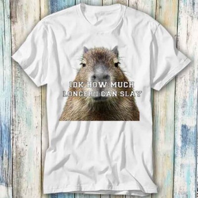 Idk How Much Longer I Can Slay Capybara T-Shirt Meme Geschenk Top Tee Unisex 654