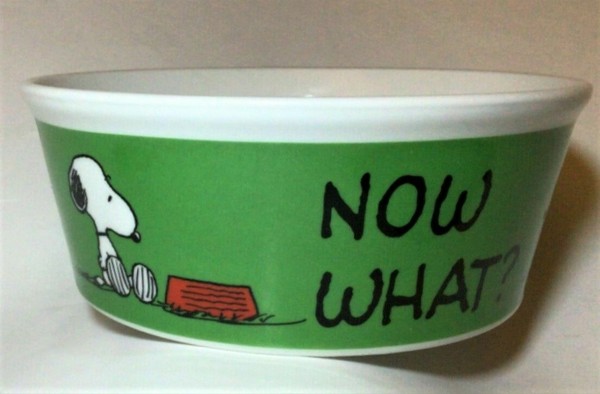 Peanuts Snoopy Woodstock Small Pet Cat Dog Water Ceramic Bowl Dish 5 Dia Nwt Cumbredelsajama Com