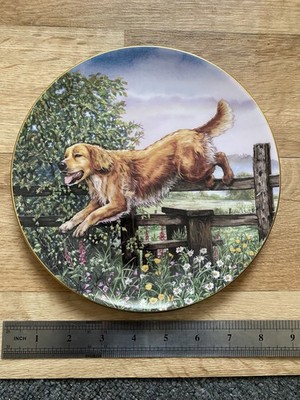 Royal Doulton Dogs In Action Plate Golden Retriever Dave Broadhurst 1997