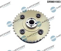 1X Dr.Motor Automotive DRM01503 Nockenwellenversteller FüR Bmw