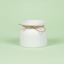 Tabletop Planter Sturdy PP Material Succulent Pot Macaron Colors for Bookshelf