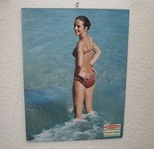 Stary stojak reklamowy Fuji Film 48 x 36,5cm Stojak tekturowy Reklama fotograficzna Fujicolor