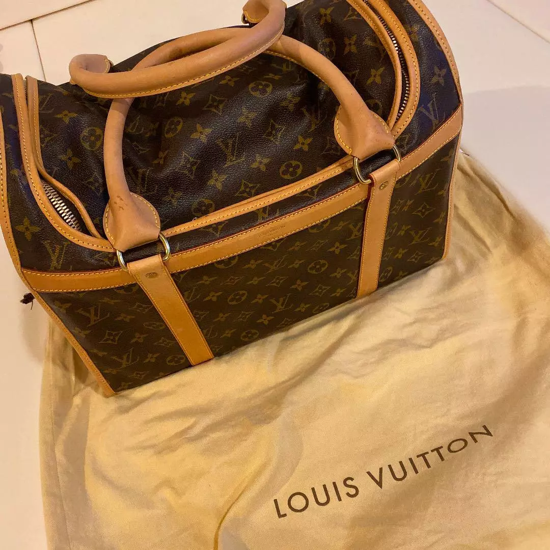 Louis Vuitton Dog 