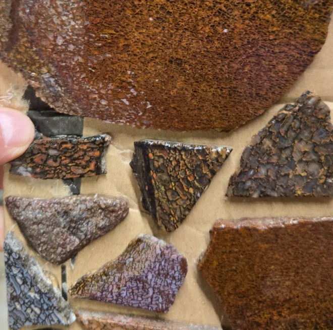 Surtido de gemas de dinosaurio ágata de hueso, losas de cabujón, preformas, rebanadas, 7 piezas, plano 49 Foto 2 de 4