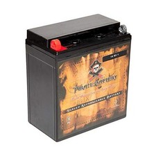 YTX16-BS-1 Maintenance Free Replacement Battery for ATV and Motorcycle: 12
