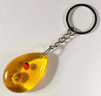 Real Insect Crab Bug Beetle Hornet Scorpion Keychain in Amber Color Lucite Resin