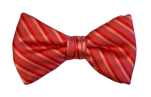 Boys Striped Bow Tie Adjustable Pre-Tied Silver Red Green Blue Pink Purple Black - Picture 29 of 32
