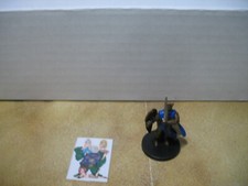  Dungeons and Dragons D D DRAGONEYE Stalwart Paladin 8/60 no card 