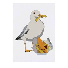 'Cheeky Seagull' Temporary Tattoos / Transfers TO00048754 
