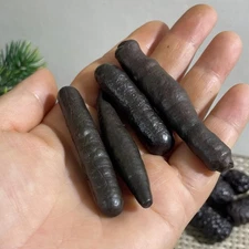 4pcs 74g  Limonite & Hematite pseudomorph after Marcasite Prophecy Rock Stone