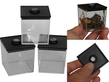  Small Cube Rearing Boxes Ideal for Tarantula Slings & Jumping Spider