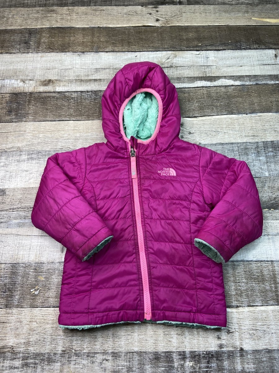 The North Face Toddler 4T Hooded Jacket Pink Green Lined 