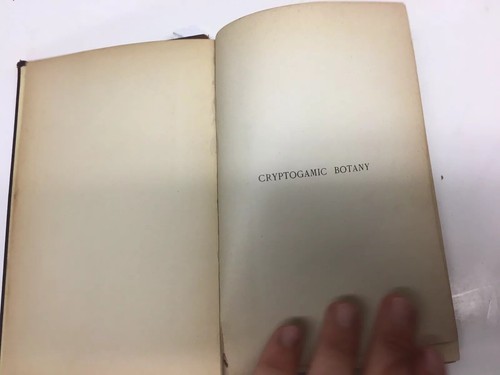 HANDBOOK CRYPTOGRAPHIC BOTANY BY ALFRED BENNETT HC 1889 PLANT CELLS FUNGI FOSSIL - Imagen 4 de 9