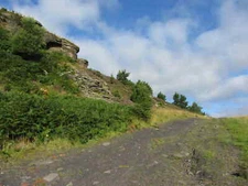 Photo 6x4 Track on Daren y Celyn  c2016