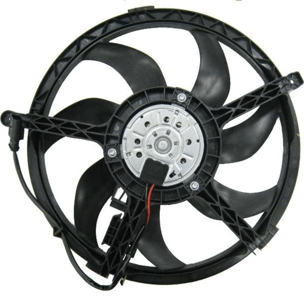 Picture 1