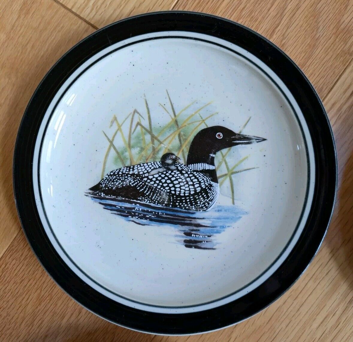 Folkcraft Stoneware Scotty Z Loon Lake Salad Plate 8 5/8" set of 4