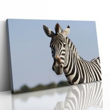 Zebra Safari in Africa Canvas Framed Print Picture Wall Art