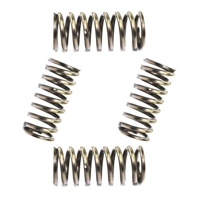 Kupplungsfedern Satz verstärkt EBC CSK052 für Yamaha SR 125 TW 125 TZR 250 XT125