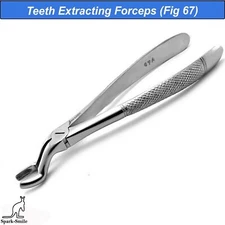 Dental Upper Third Molar Fig 67A Wisdom Tooth Extraction Forceps Loosening Tools