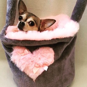dog snuggle sack carrier