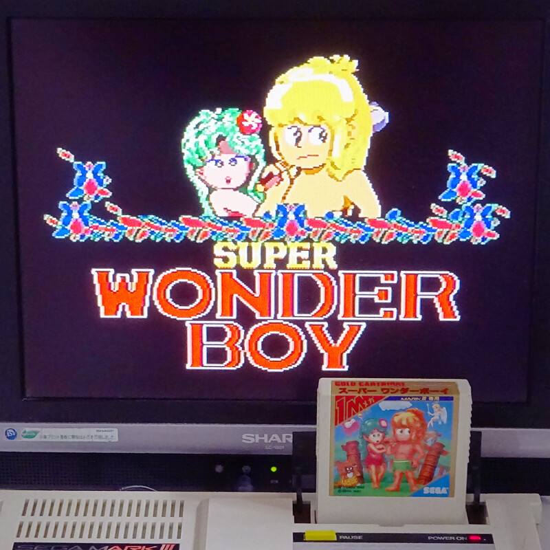 SUPER WONDER BOY SEGA markIIII Cart Only Japan Import Arcade mk3 MASTER SYSTEM