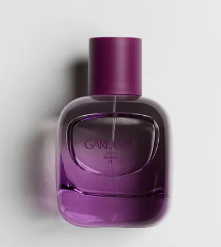 gardenia zara