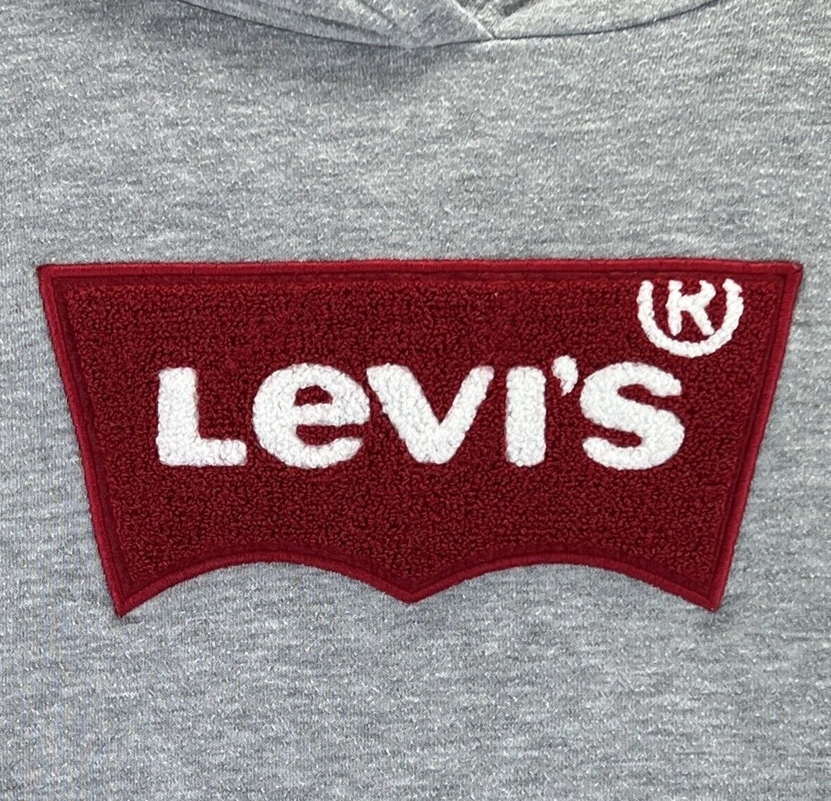 Levi's youth cheap logo hoodie