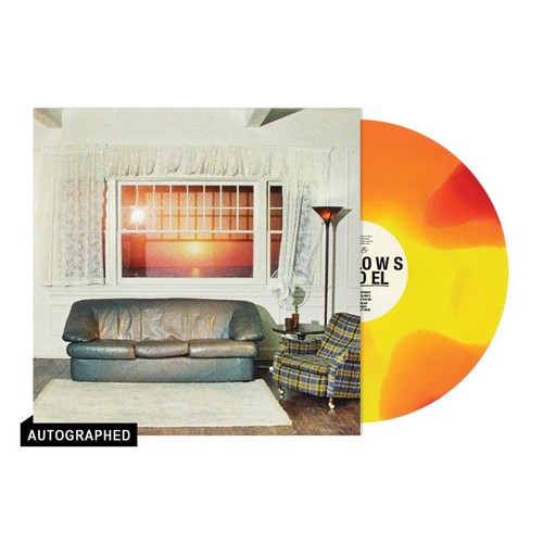 Wallows Model Exclusive Sunset Vinyl LP w/ SIGNED Insert Lemon Tangerine Apple - Picture 2 of 12