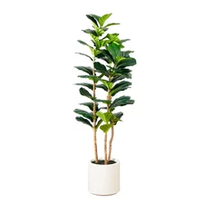 Nearly Natural 5-ft Artificial Fiddle Leaf Tree in Decorative White Planter