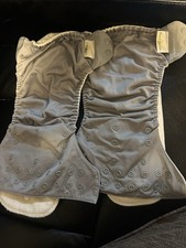 Bumgenius Cloth Diapers lot of 2 with inserts