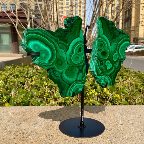 4.46LB atural malachite craft Butterfly Wing Quartz Skull Carved Crystal +stand - 第 6/13 張圖片